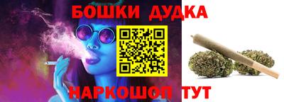 гашик Дубна