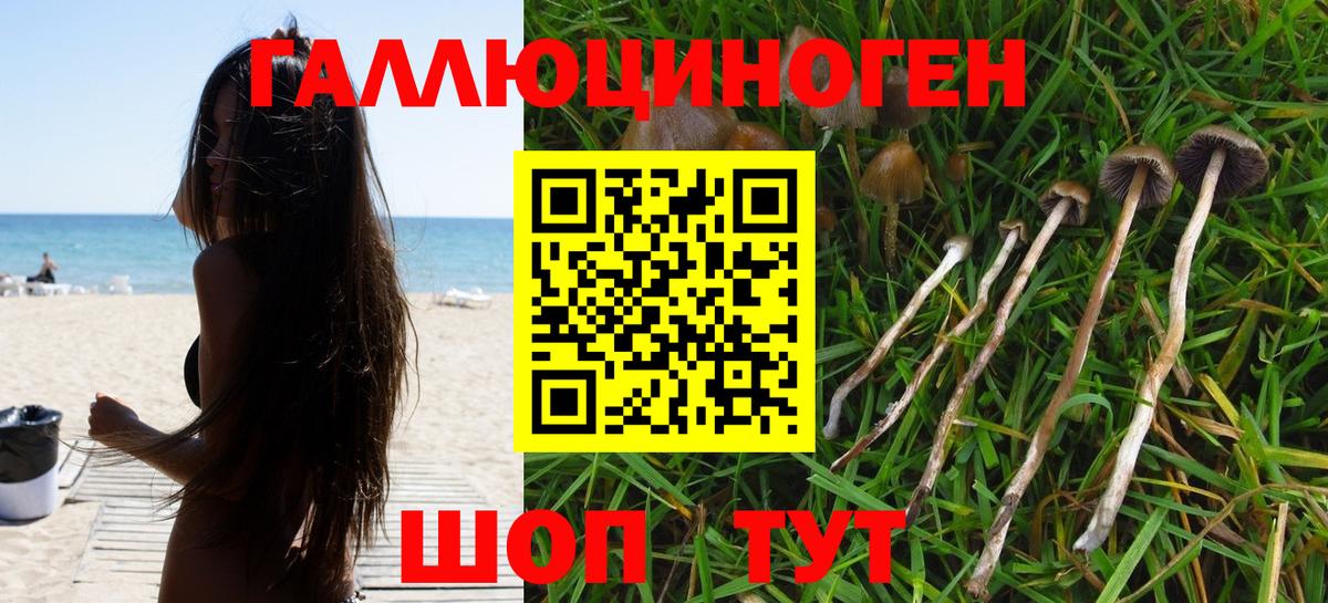 Галлюциногенные грибы GOLDEN TEACHER Благодарный