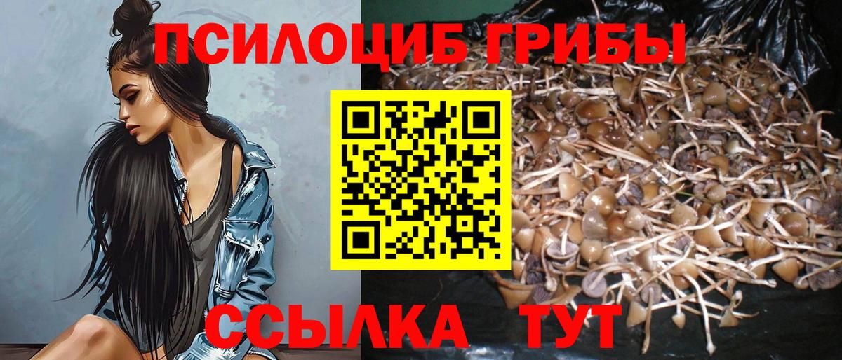 Благодарный  Псилоцибиновые грибы ЛСД  Вход с VPN  Псилоцибиновые грибы Cubensis 
